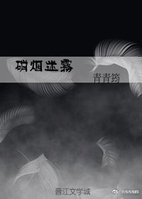 硝烟迷雾