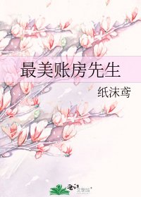 最美账房先生
