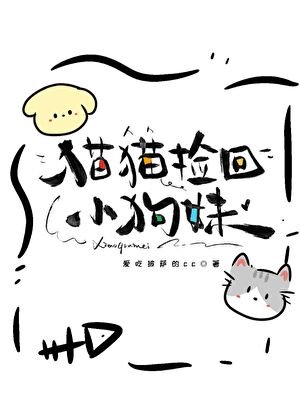 猫猫捡回小剥昧