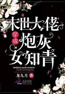 末世大佬穿成袍灰女知青